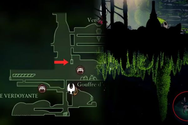 Le Druide de Verdanson un PNJ incontournable pour votre première quête