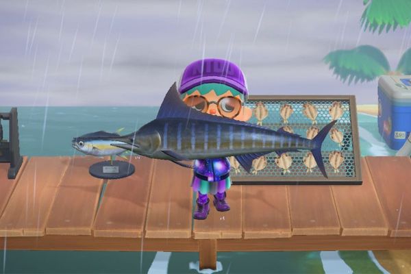 Que faire de vos poissons capturés